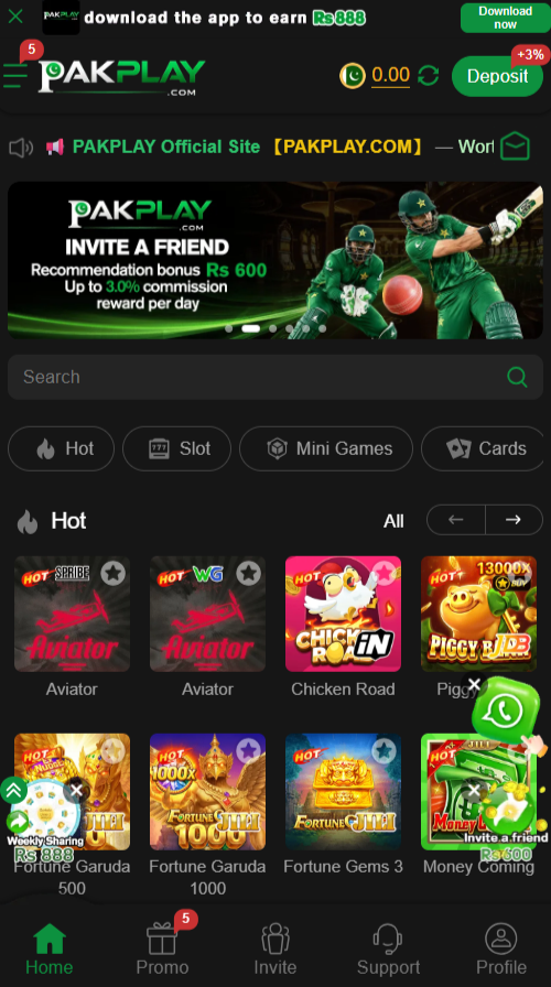 PAKPLAY Game